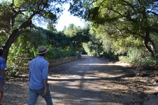 Enlarge photo 4