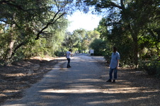 Enlarge photo 5