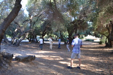 Enlarge photo 6