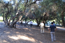 Enlarge photo 7