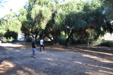 Enlarge photo 8