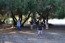 Enlarge photo 10