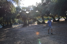 Enlarge photo 11