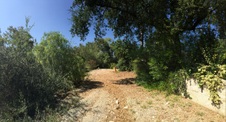 Enlarge photo 13