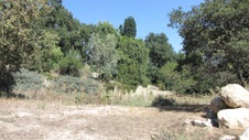 Enlarge photo 20