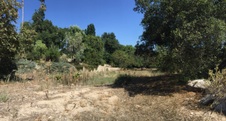 Enlarge photo 29