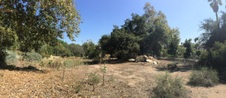 Enlarge photo 30