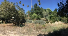 Enlarge photo 31