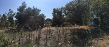 Enlarge photo 32
