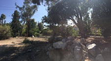 Enlarge photo 34