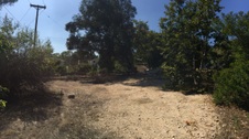 Enlarge photo 37