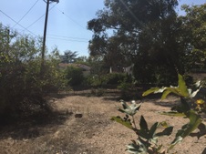 Enlarge photo 38