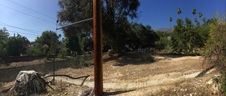 Enlarge photo 39