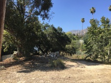Enlarge photo 40