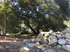 Enlarge photo 42