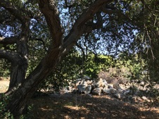 Enlarge photo 43