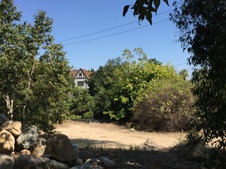 Enlarge photo 44