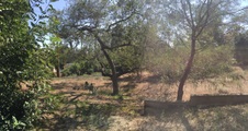 Enlarge photo 47