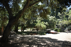 Enlarge photo 4