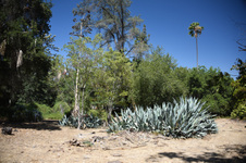 Enlarge photo 6