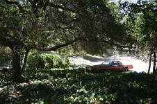 Enlarge photo 2