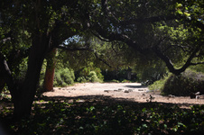 Enlarge photo 13