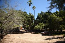 Enlarge photo 16