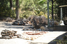 Enlarge photo 2