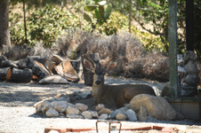 Enlarge photo 3