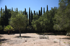 Enlarge photo 10