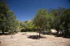 Enlarge photo 11