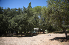 Enlarge photo 12