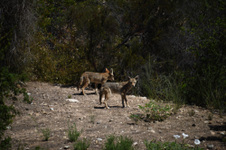 Enlarge photo 13