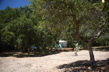 Enlarge photo 14