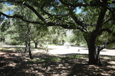 Enlarge photo 17