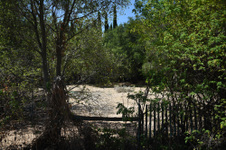 Enlarge photo 21