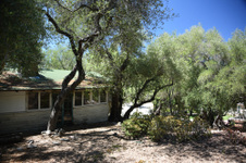 Enlarge photo 25