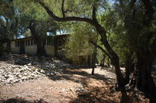 Enlarge photo 27