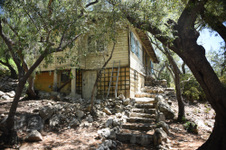 Enlarge photo 28