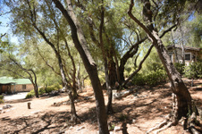 Enlarge photo 29
