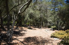 Enlarge photo 31