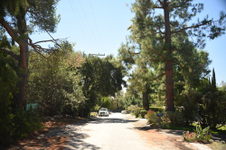 Enlarge photo 35