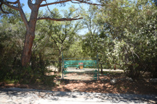Enlarge photo 36