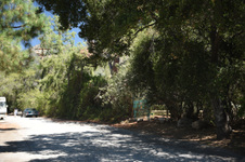 Enlarge photo 37