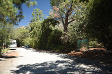 Enlarge photo 38