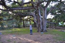 Enlarge photo 2
