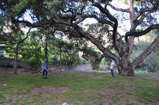 Enlarge photo 3