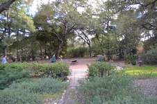 Enlarge photo 11
