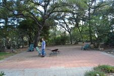 Enlarge photo 12