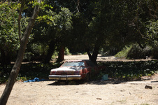 Enlarge photo 11